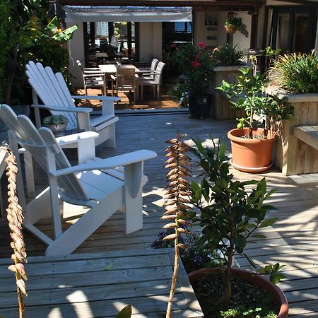 Terry And Cindy'S Bed And Breakfast Auckland Bagian luar foto